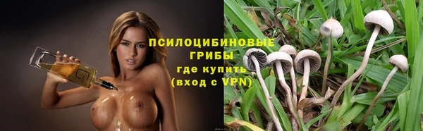 a pvp Алексеевка