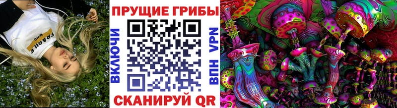 купить наркотики сайты  Сатка  Галлюциногенные грибы Psilocybe 
