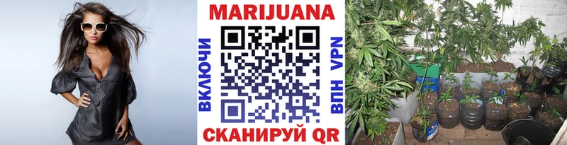МАРИХУАНА сатива Сатка